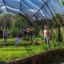 Volunteers in GreenHouse Volunteers in GreenHouse
